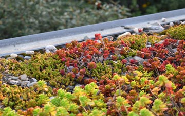 the cost of Ynysddu green roof installation