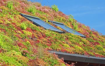 Ynysddu living roof systems