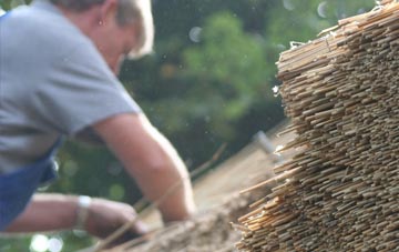 professional Ynysddu thatchers