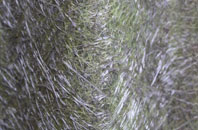 Ynysddu fibreglass roof work